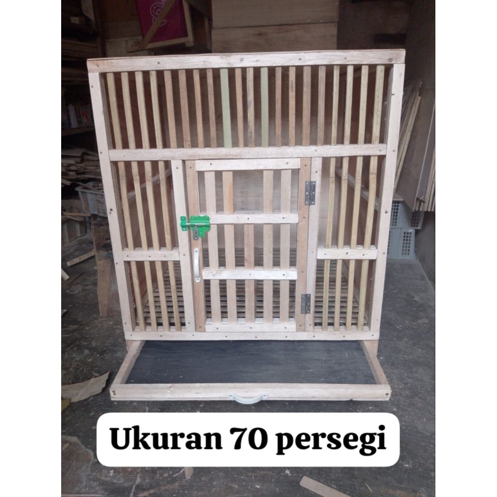 kandang ayam bangkok dll