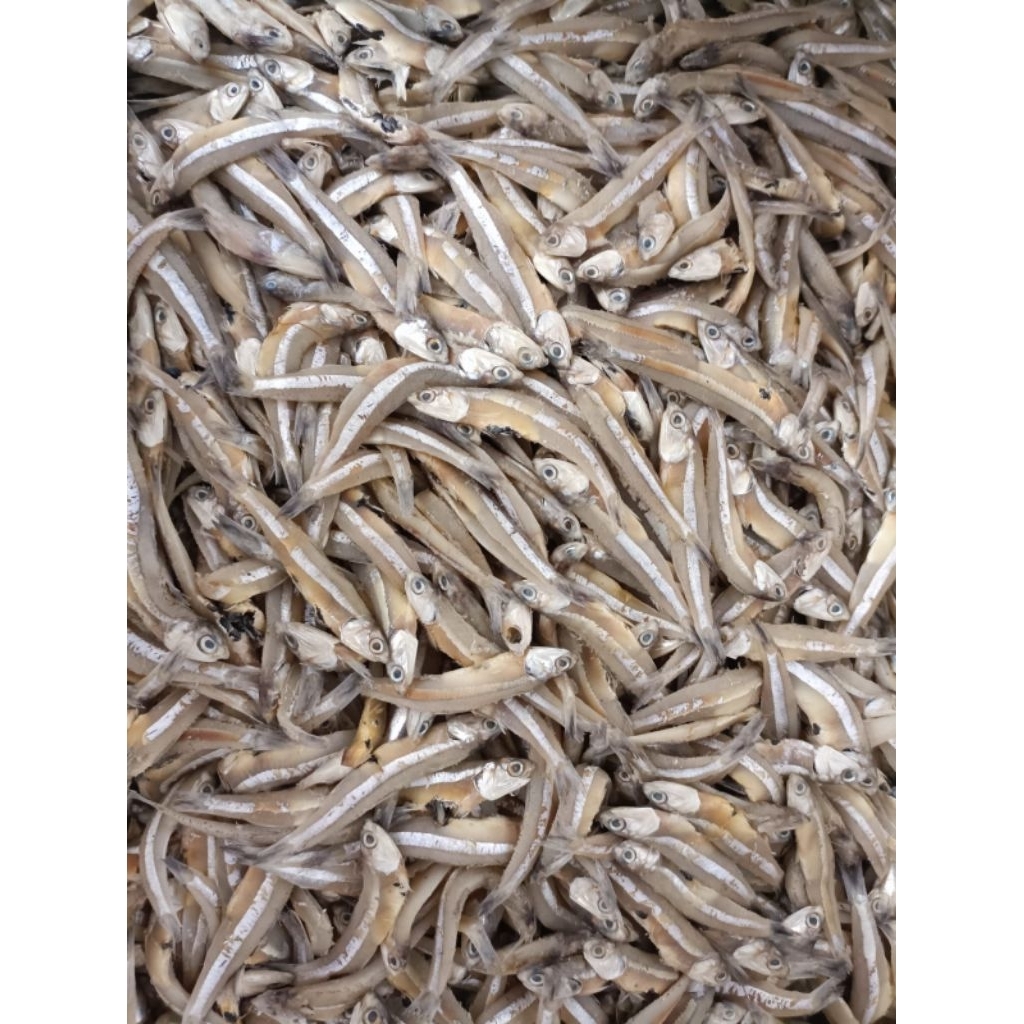 Ikan asin teri jengki / ikan asin/ ikan teri asin termurah