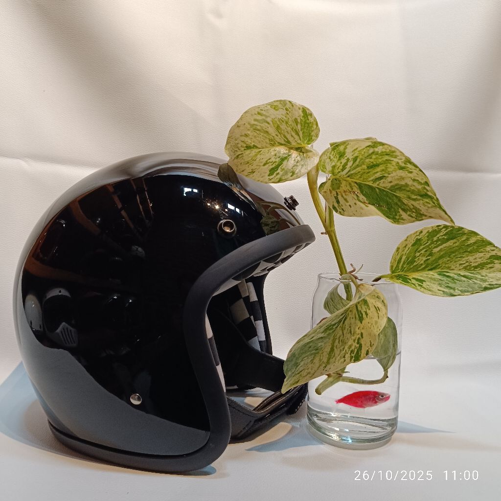 Helm Slim Head Hitam (busa catur)