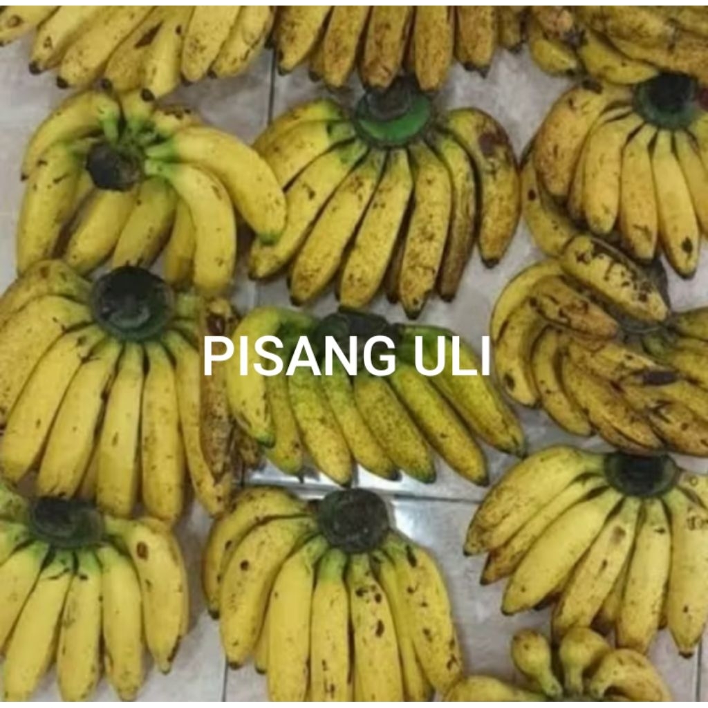 PISANG ULI MATANG / MENGKAL 1 SISIR BESAR