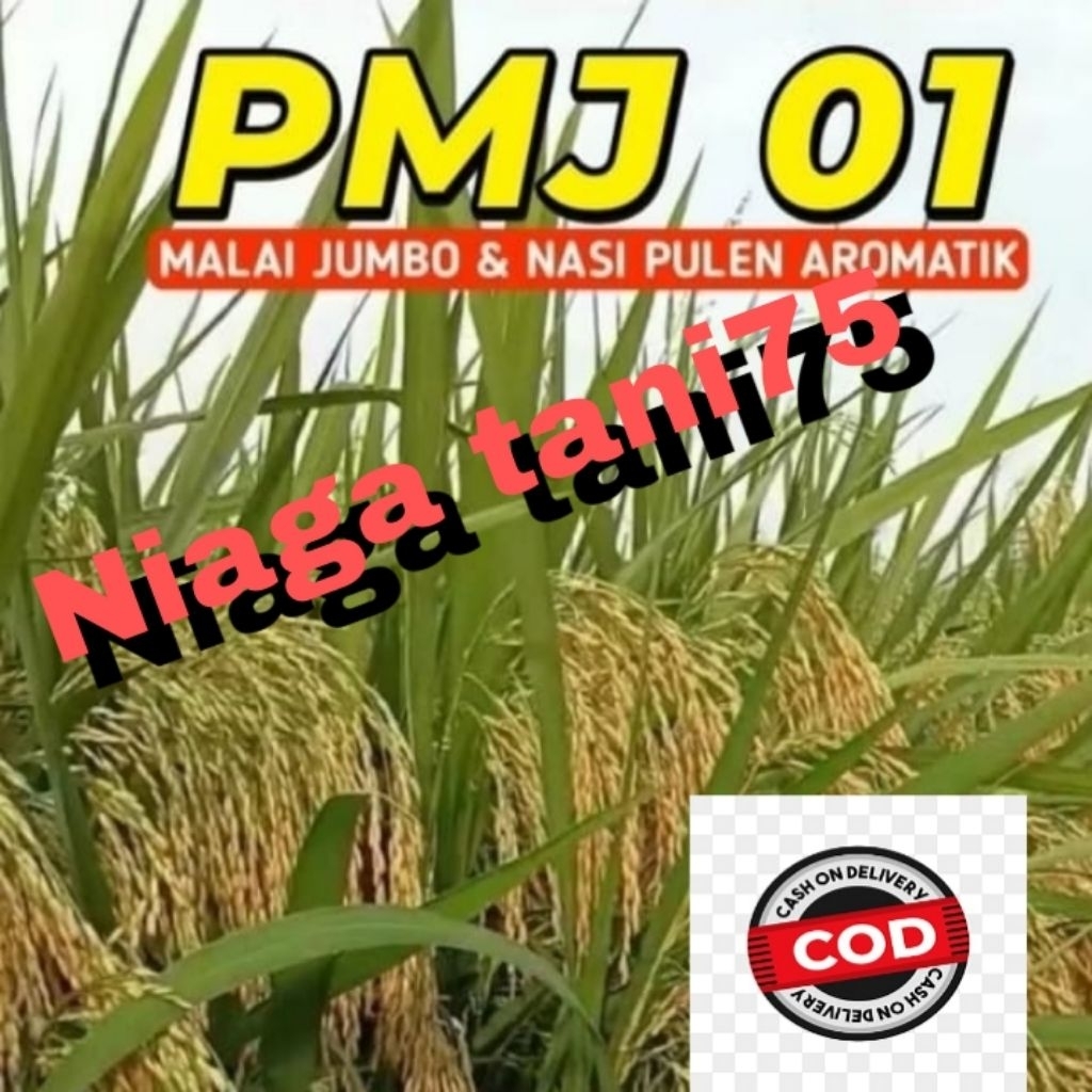 benih padi pmj 01 5 kg
