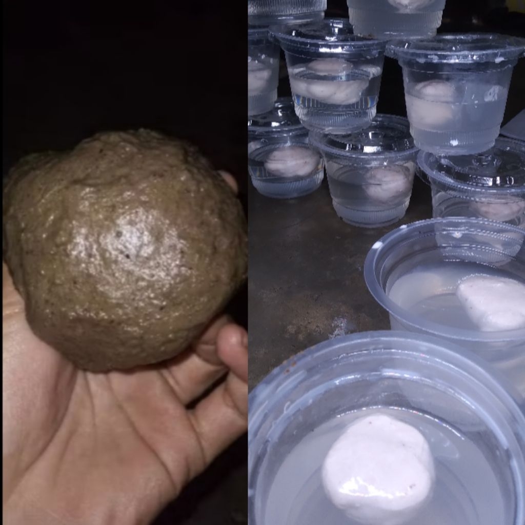 pulut 50gr | pulut burung | lem pulut getah bendo getah karetp