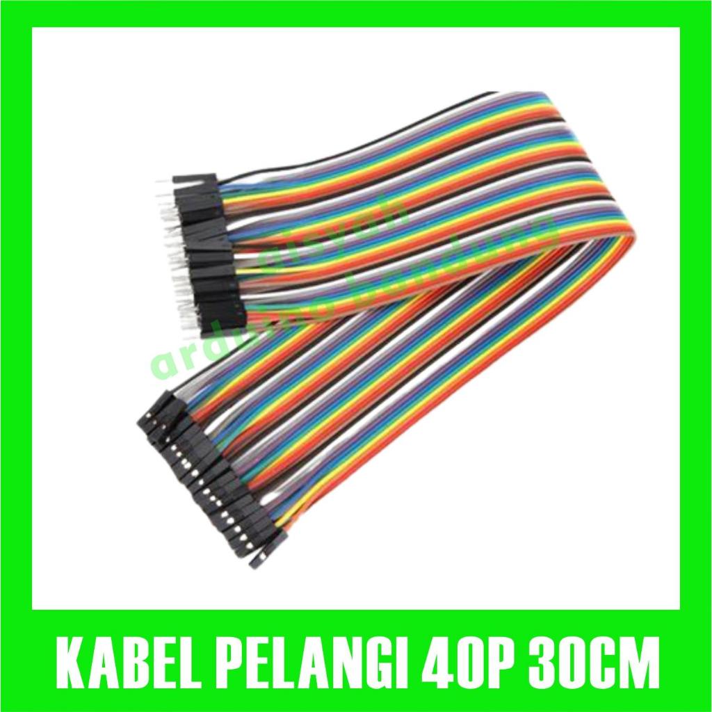 Kabel Pelangi 30cm dupont 40pin cable rainbow 30 cm 40p 40 pin 40 p
