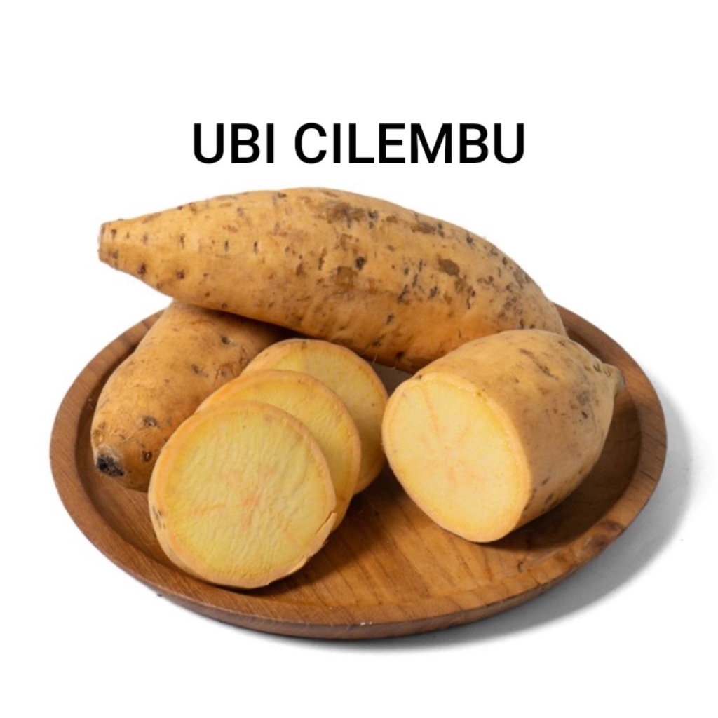 UBI CILEMBU 1 KG