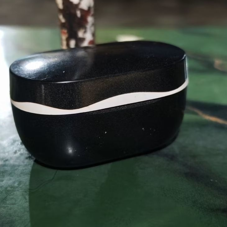 Charging Case Soundpeats Sonic