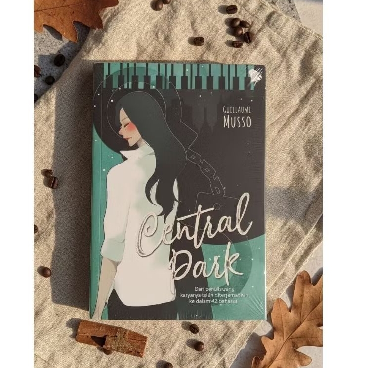 Novel Central Park by Guillaume Musso