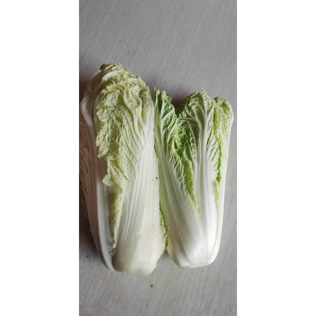 Sawi putih 1 KG fresh Bandung