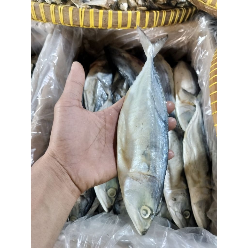 IKAN ASIN PEDA PUTIH - Pedo tegal kualitas premium