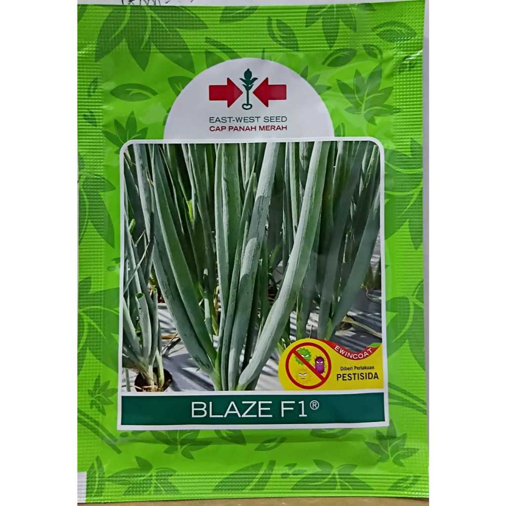 TERLARIS BENIH BAWANG DAUN BLAZE F1
