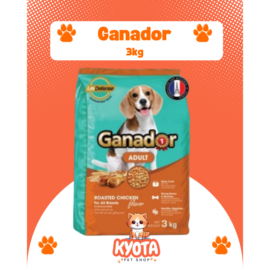 Ganador Adult Roasted Chicken Dog Food 400 Gr - Dry Dog Food