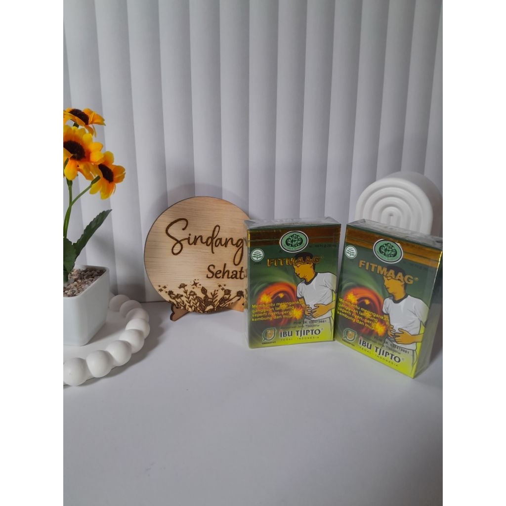 Obat Herbal Lambung PIL FITMAAG TJIPTO, 1Pack