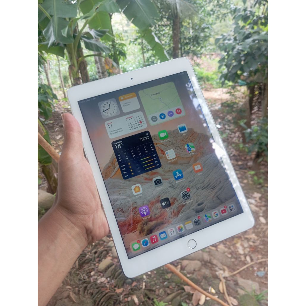 ipad air 2 64 wifi only