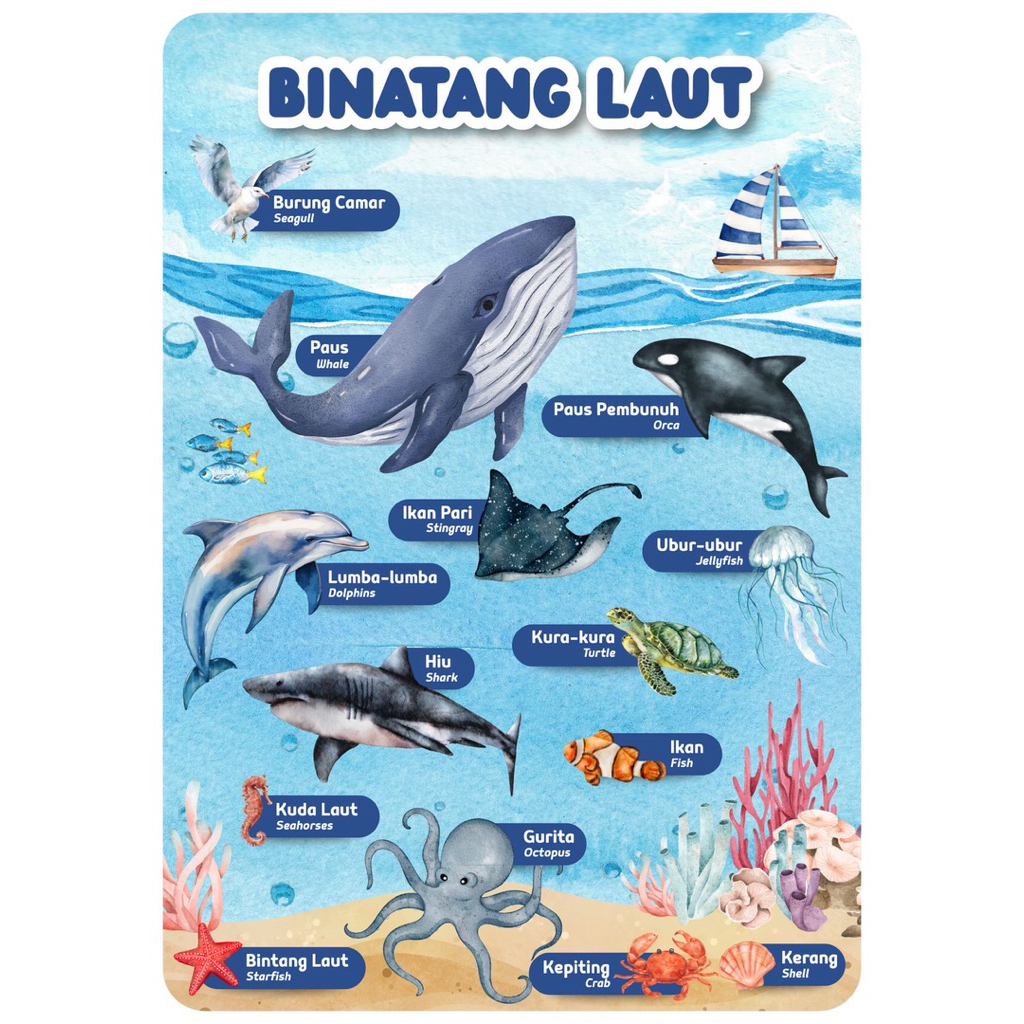 Poster Edukasi Anak, Poster Anak, Poster belajar anak, Poster hewan, Poster buah, Poster a3