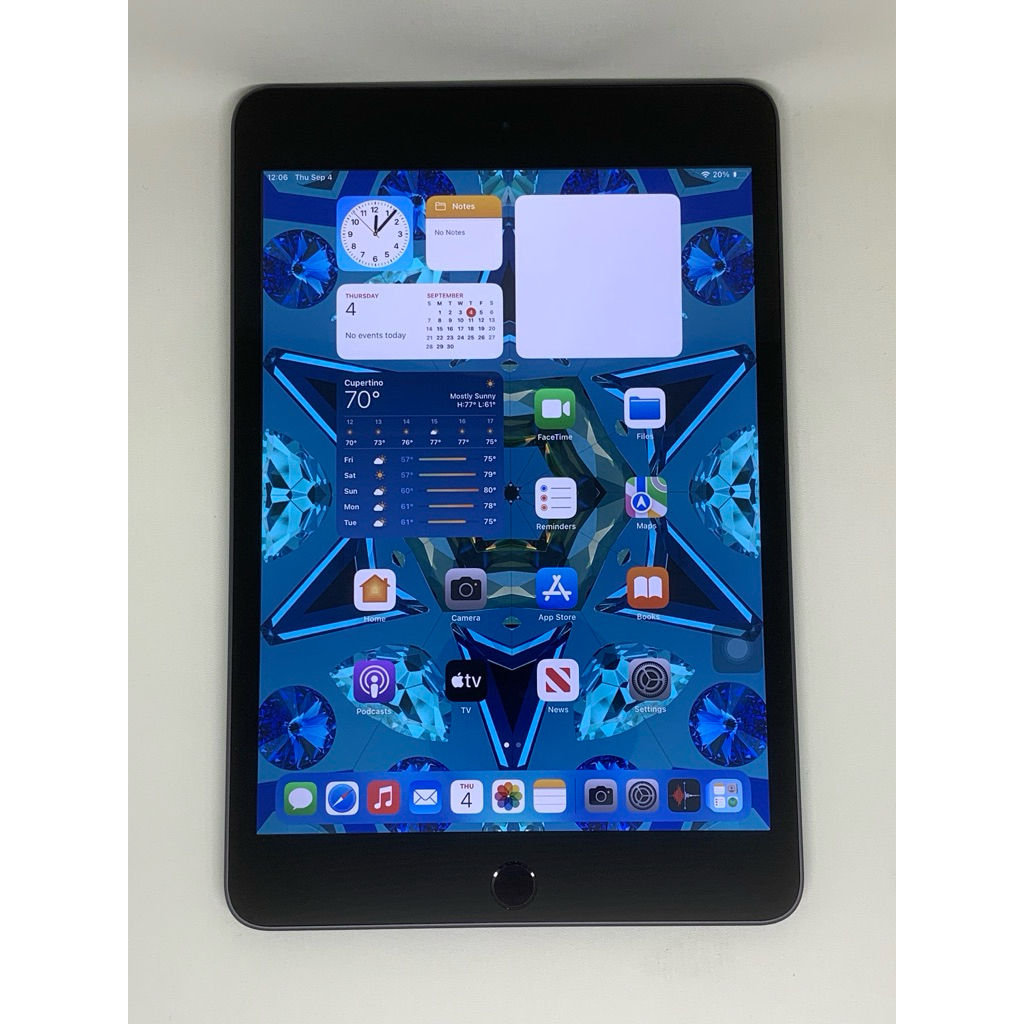 iPad Mini 5 WIFI 64GB 256GB Gray Silver Second Original Bonus Anti Gores