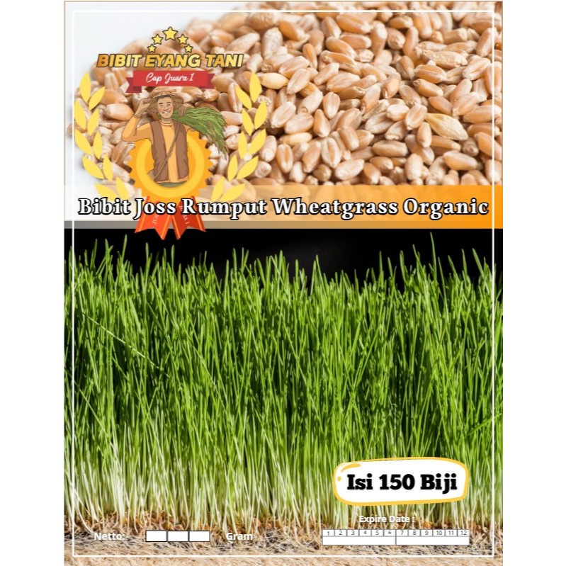 Bibit Joss Rumput Wheatgrass Organic | Biji Benih Rumput Gandum Wheatgrass | Wheatgrass