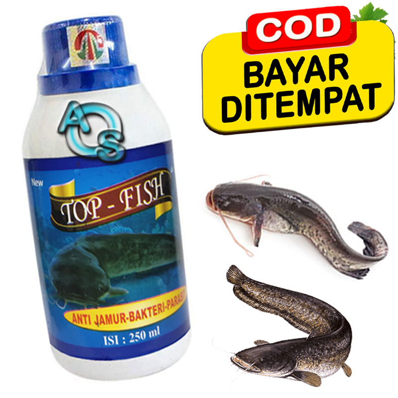 Obat Bakteri Jamur Parasit Ikan Lele Luka Cacar Double Action Top Fish Completed Formula