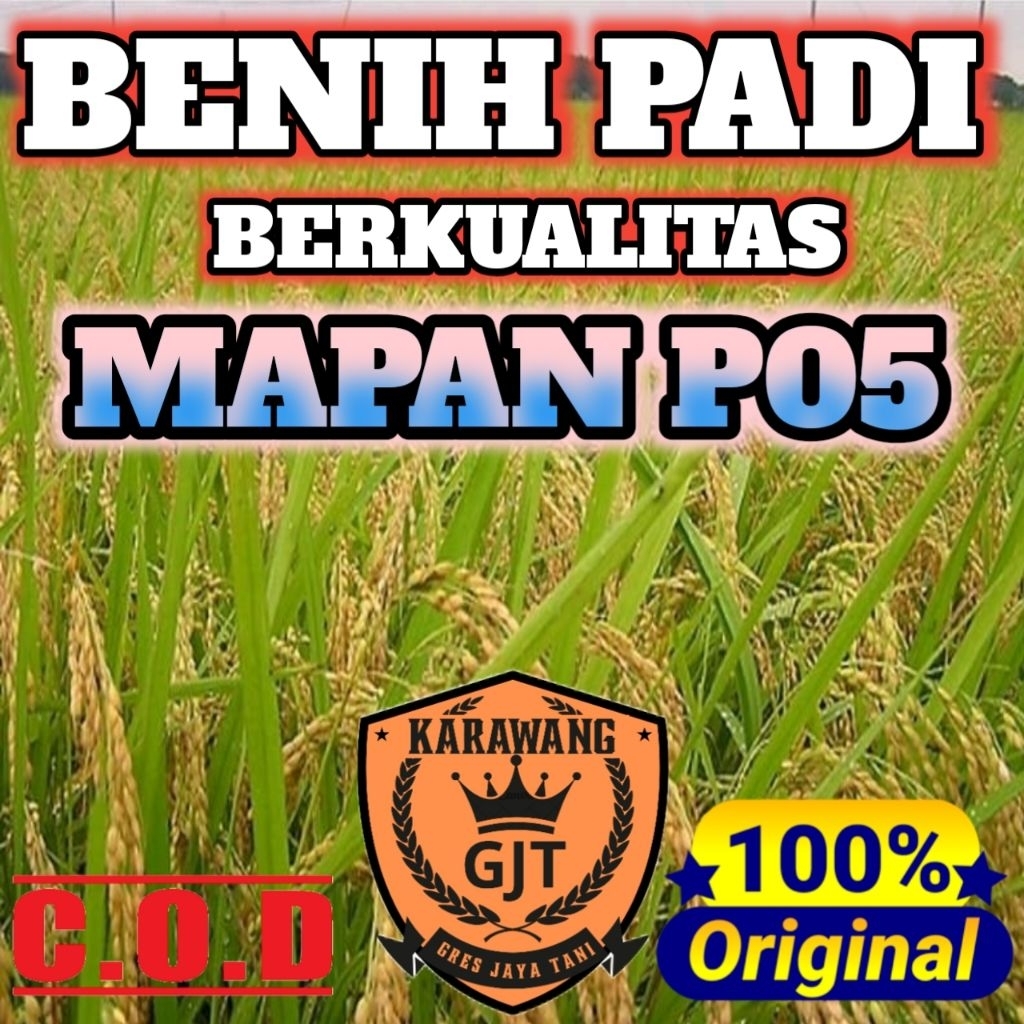 BENIH PADI MAPAN P05 BERKUALITAS ORIGINAL KEMASAN 5KG