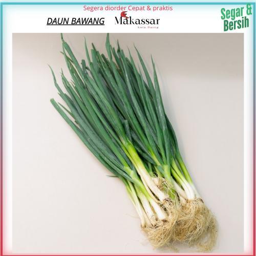 Daun Bawang segar,Daun bawang pasar tradisional pasar induk pannampu,pasar terong,pasar makassar,Dau
