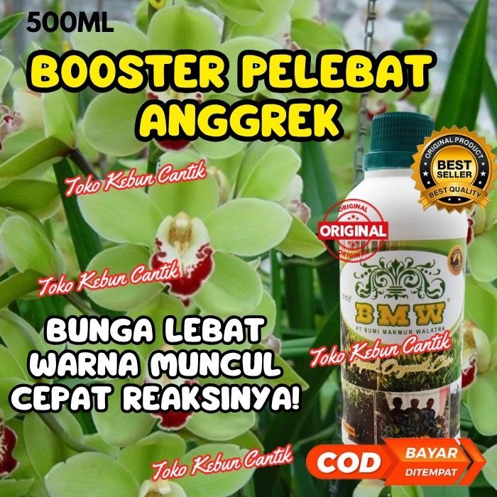 Booster Bunga Anggrek, Bikin Lebat dan Cantik, Daun Subur Mengkilap, Tanaman Sehat