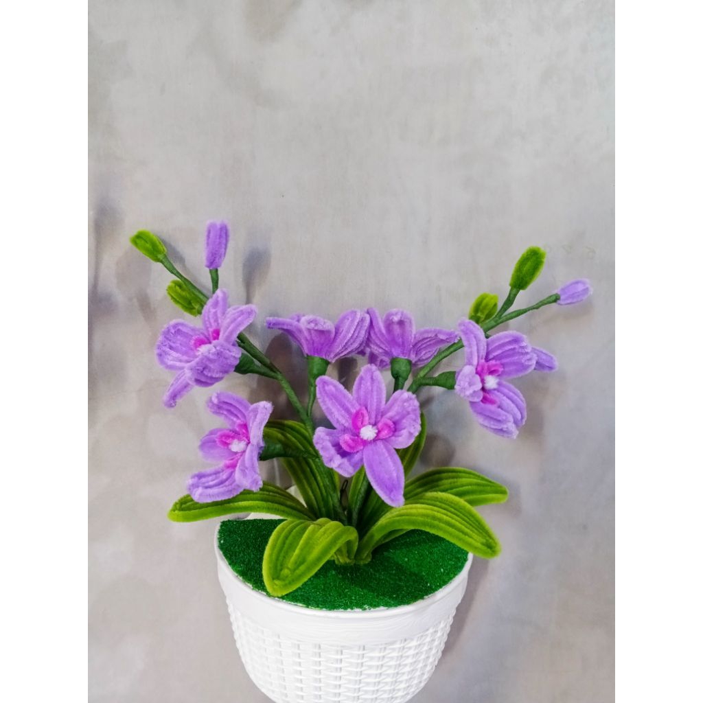 Anggrek gantung kawat bulu