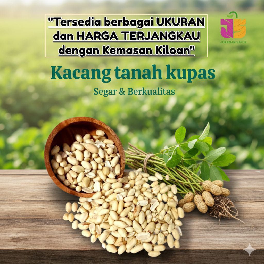 Kacang Tanah Kupas Mentah kacang tanah kupas 1kg