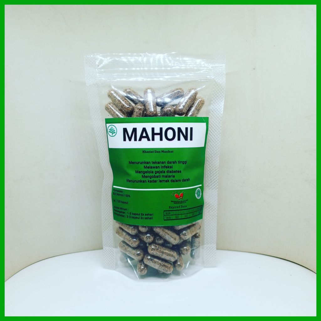 kapsul biji mahoni isi 100