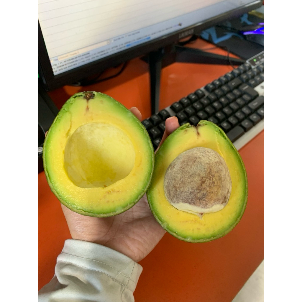 ALPUKAT MENTEGA ORI // FROZEN // BELUM MATANG GARUT