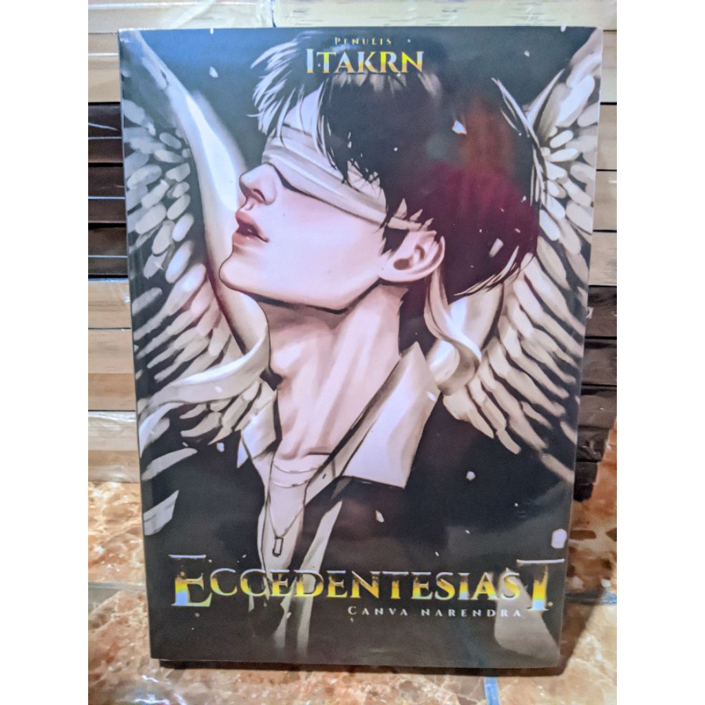 Eccedentesiast buku novel