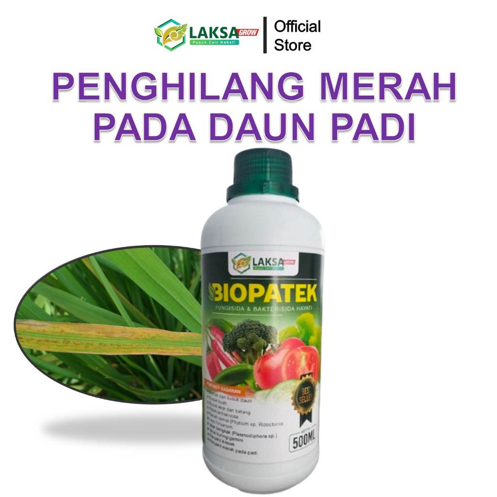 Laksa Grow -  Fungisida Hayati BIOPATEK 500ml Obat Hama Penyakit Kresek pada Padi - Obat Padi Kresek