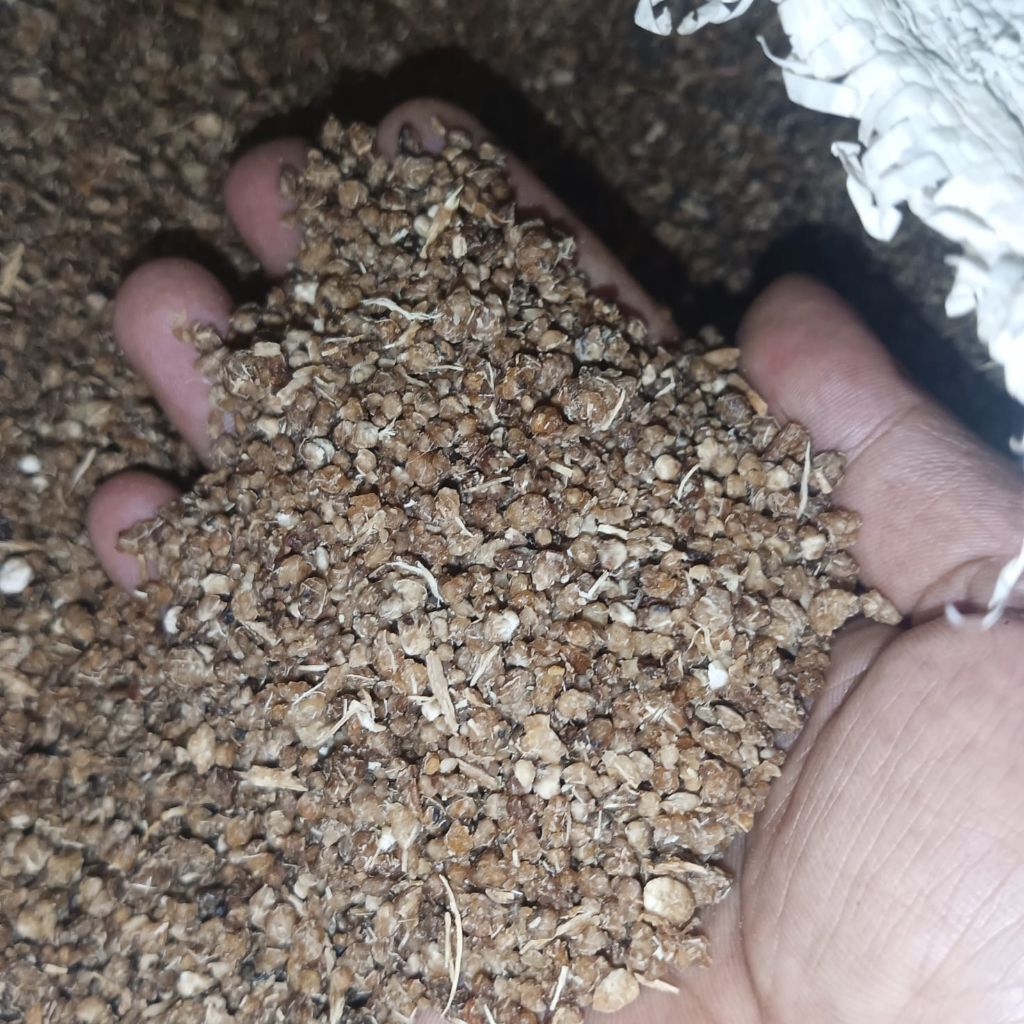 OYEK TIWOL WARNA COKLAT PER KG TANPA BAHAN PENGAWET KUALITAS SUPER KENYAL TIWOL