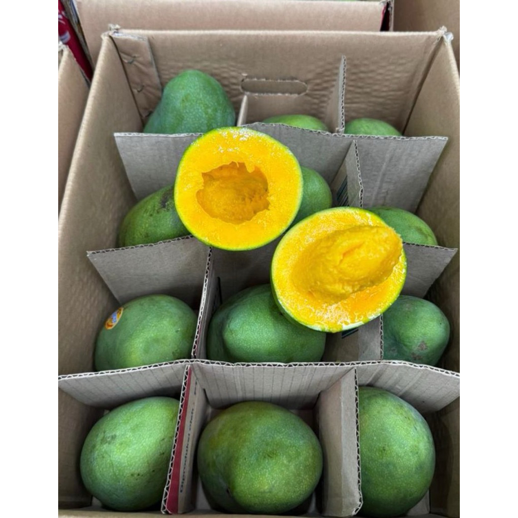 mangga alpukat bangil 1 dus