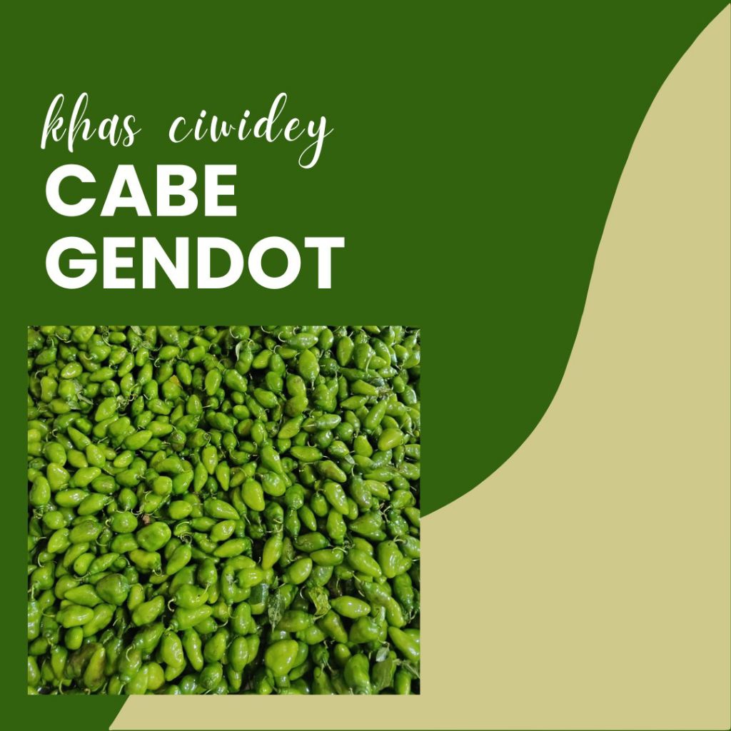 Cabe Gendot Ciwidey Bandung