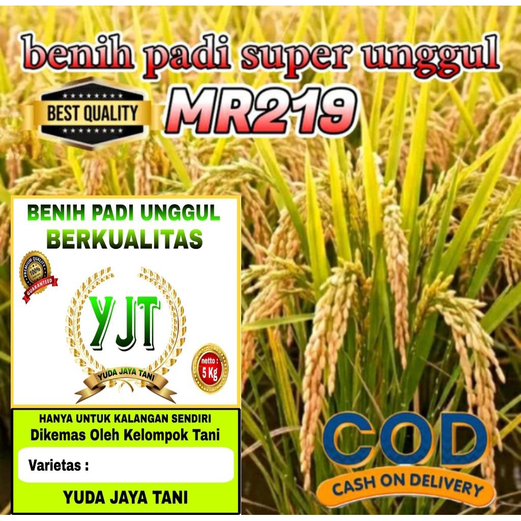 Benih Padi INPARI 43 ANGRITAN(GSR) kemasan 5kg