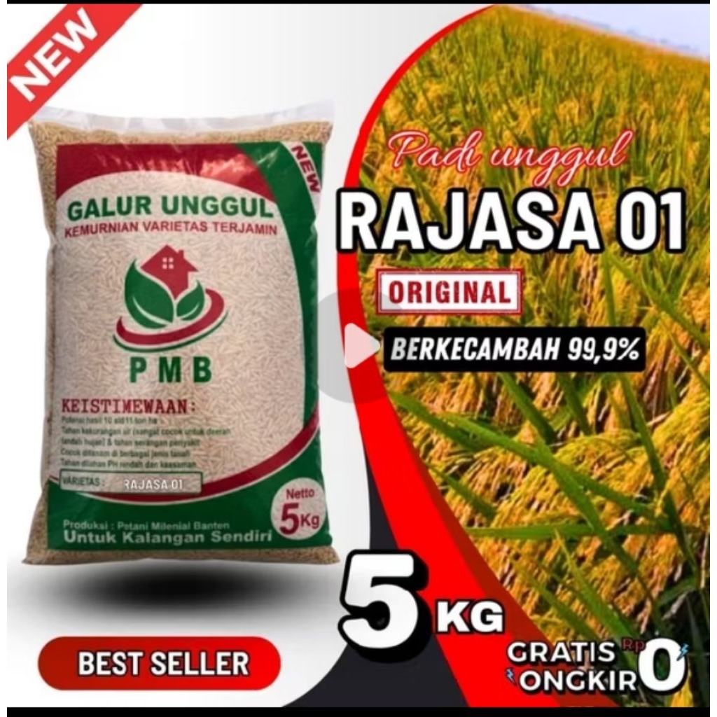 Benih Padi Rajasa 01 Kemasan 5kg Benih unggul original