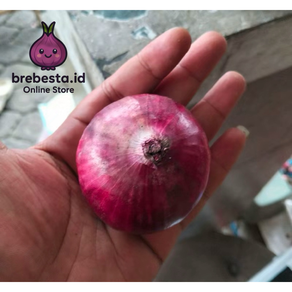 Bawang Merah Super Khas Brebes – Bawang Merah Asli Petani Brebes,Segar & Wangi Khas