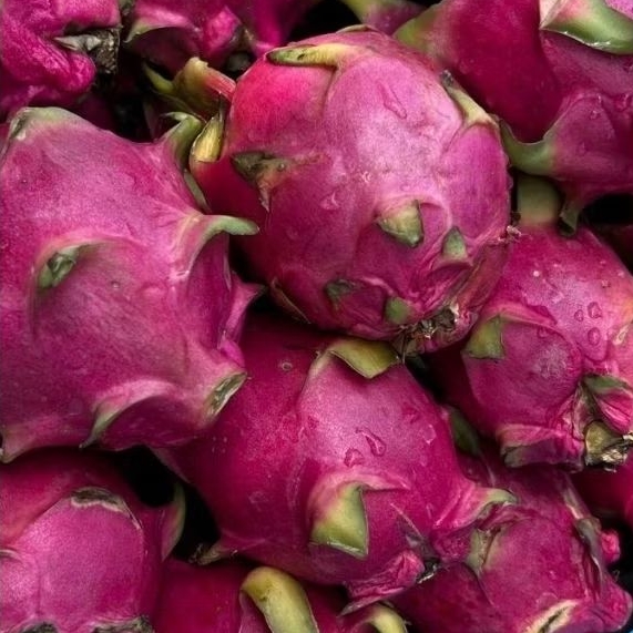 Buah Naga Merah Segar - Pasar Makassar