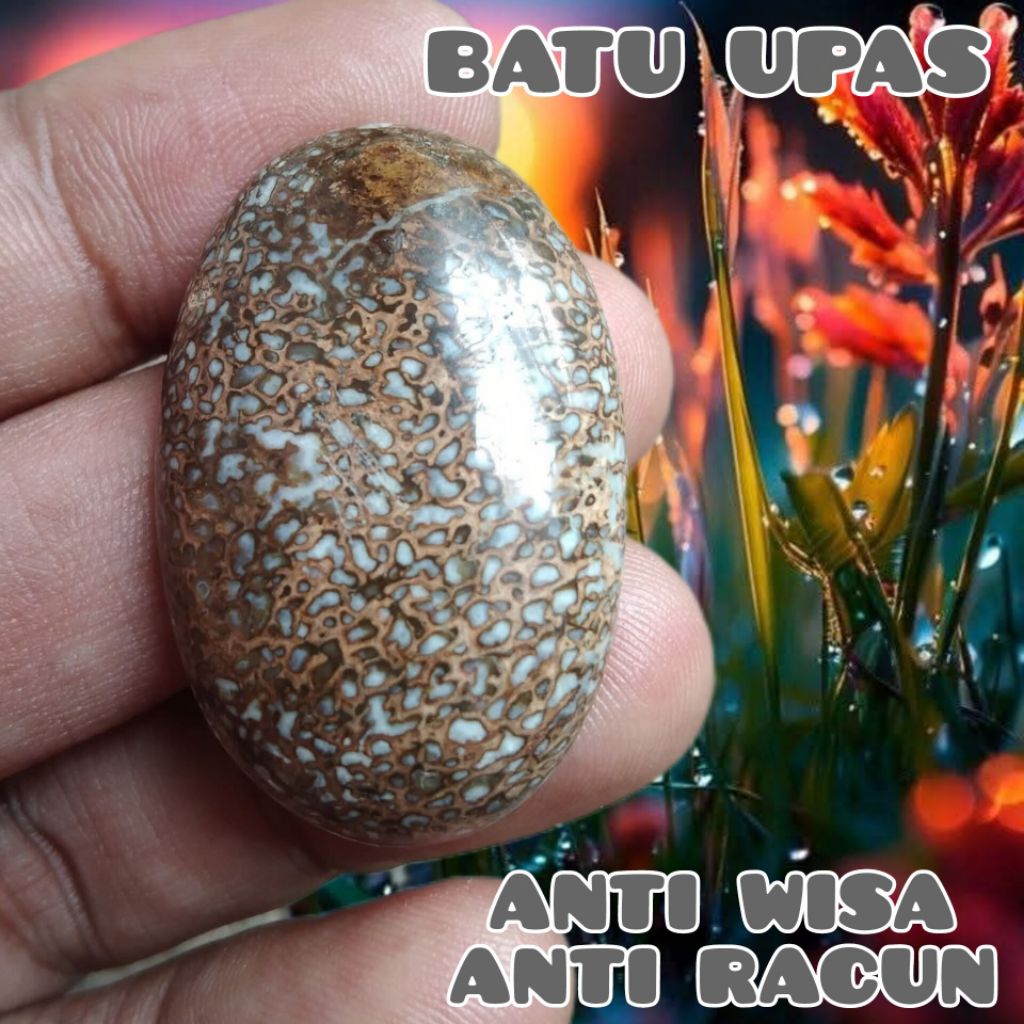 BATU UPAS_BATU WUSA_BATU ANTI WISA CIREBON
