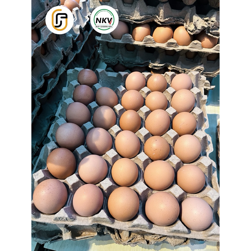 Telur Ayam Negeri Fresh From Farm isi 1kg