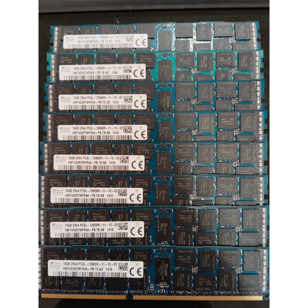 Longdim DDR3L 16gb skyhic server