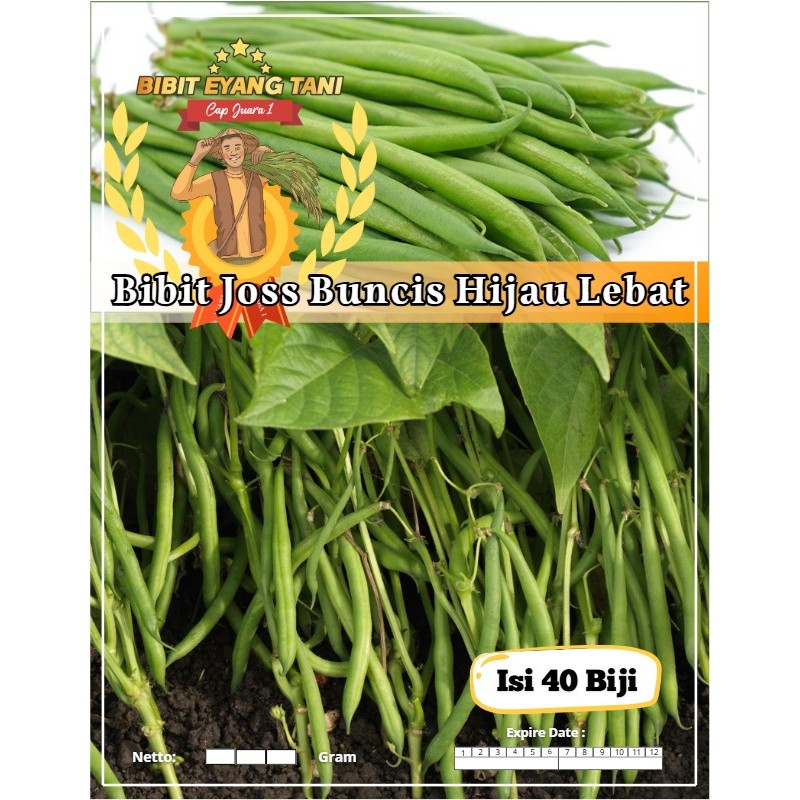 Bibit Joss Buncis Hijau Lebat | Biji Benih Buncis | Buncis