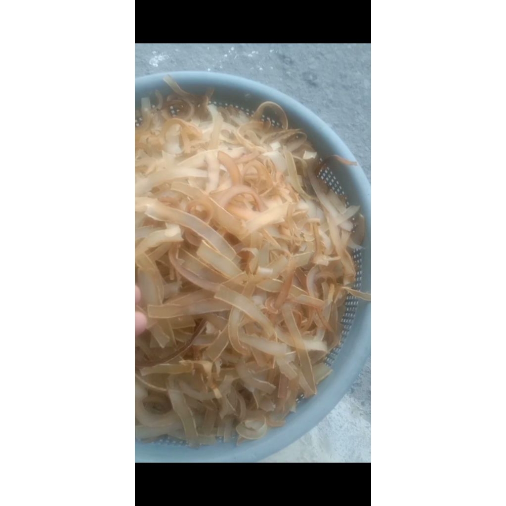 RAMBAK/KERUPUK KULIT KERBAU MENTAH/SETENGAH KERING