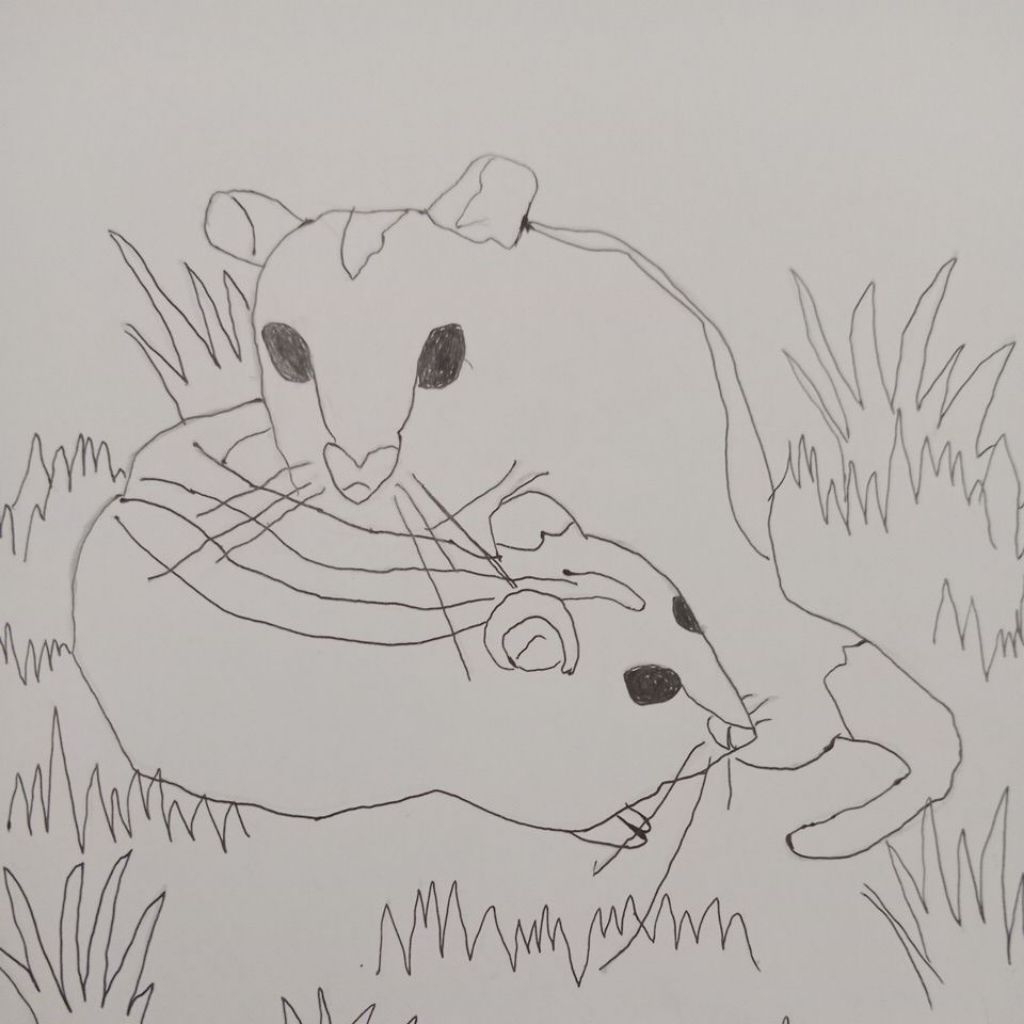 gambar mewarnai edukasi anak tema Hewan pengerat