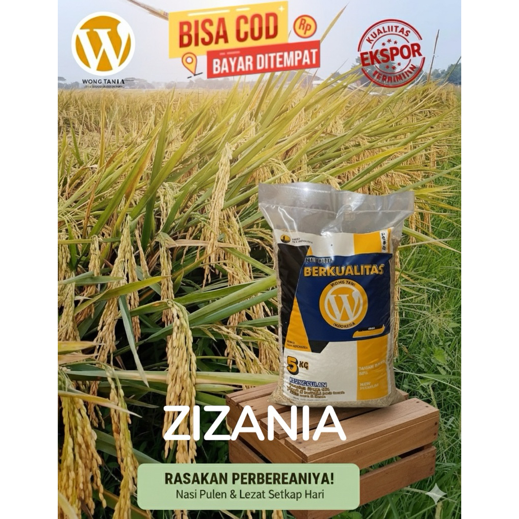 BIBIT PADI UNGGUL ZIZANIA KEMASAN 5KG