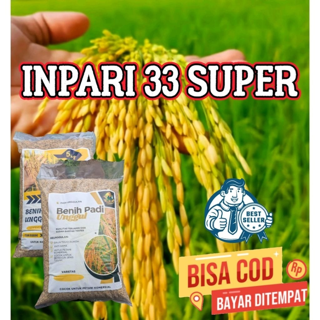 (5Kg) Benih Padi INPARI 33 SUPER Bibit Padi Unggul Kualitas Premium