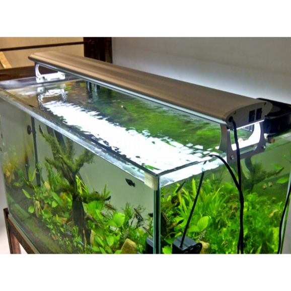 Lampu LED Gantung Lampu Gantung Aquarium Aquascape 30 - 100cm