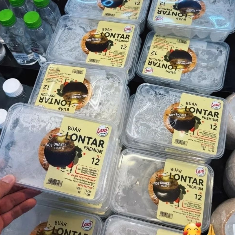 [INSTAN] BUAH LONTAR SIWALAN PREMIUM KUPAS [ 1PACK isi 12PCS ] SUPER SEGAR MASAK POHON