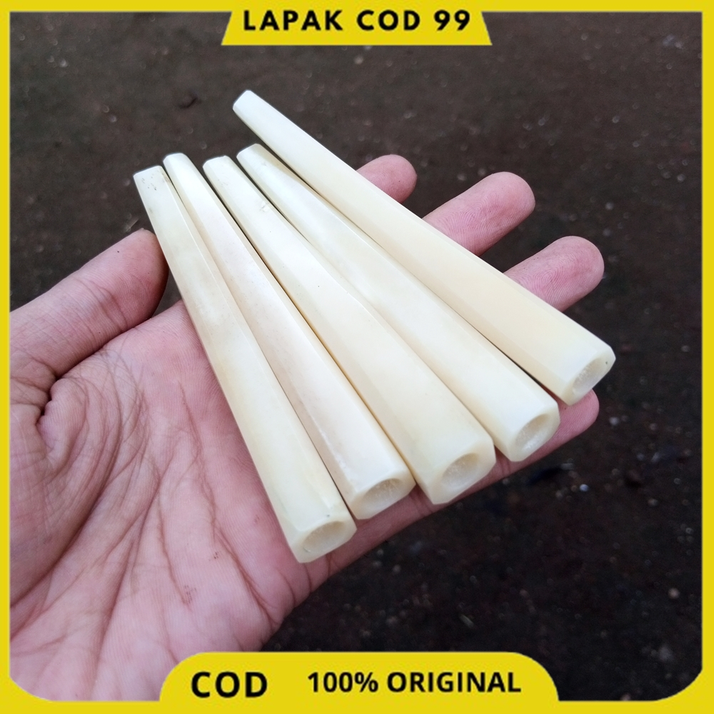 PIPA ONCE TULANG SRIGADING PUTIH KOTAK