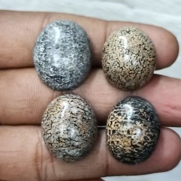 Original Batu Anti Wisa , Asli Cirebon