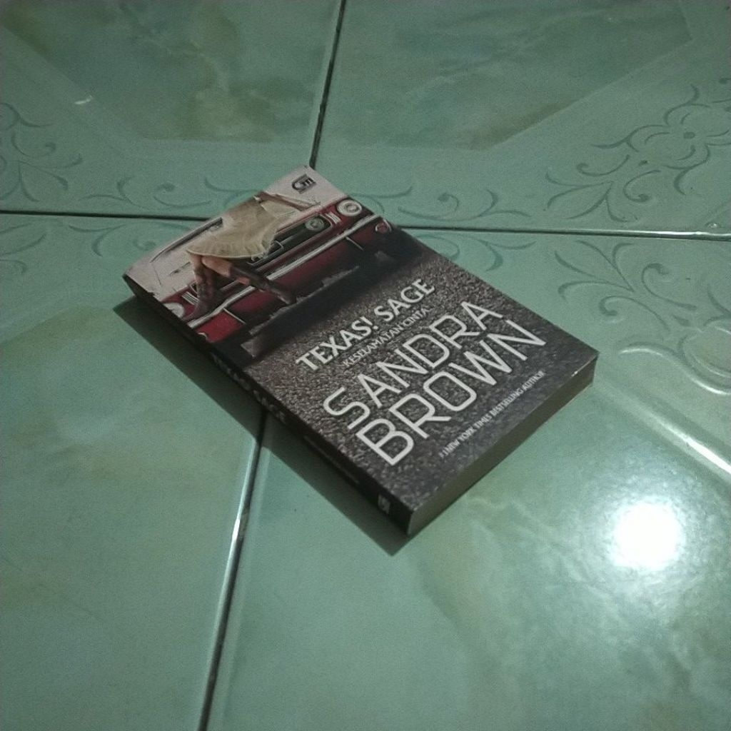 novel Sandra brown TEXAS SAGE keselamatan cinta