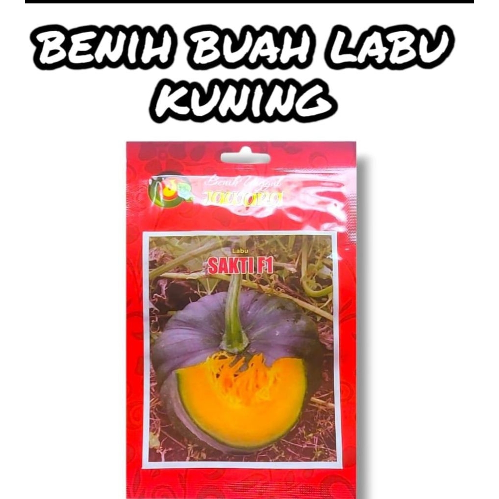 Benih Unggul Labu walu kuning SAKTI